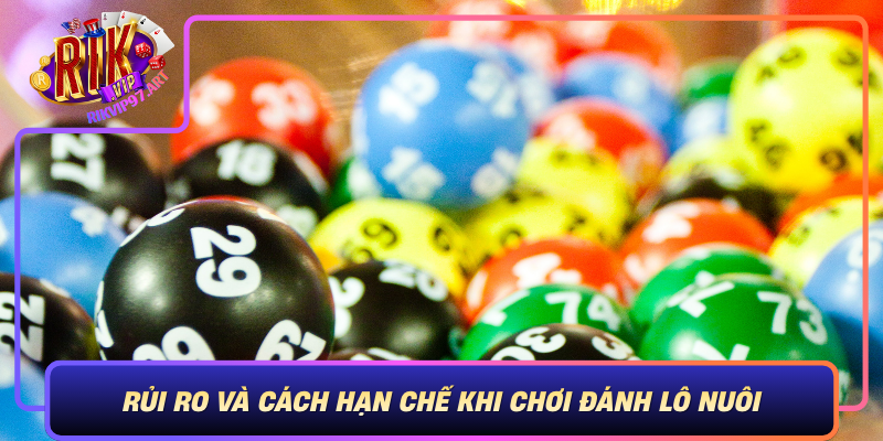 Rủi Ro Và Cách Hạn Chế Khi Chơi Đánh Lô Nuôi Rui Ro Va Cach Han Che Khi Choi Danh Lo Nuoi